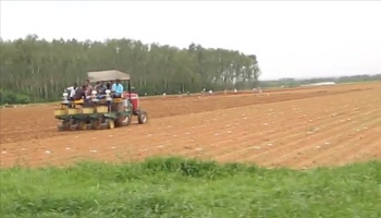 Men riding on back of tractor in field
