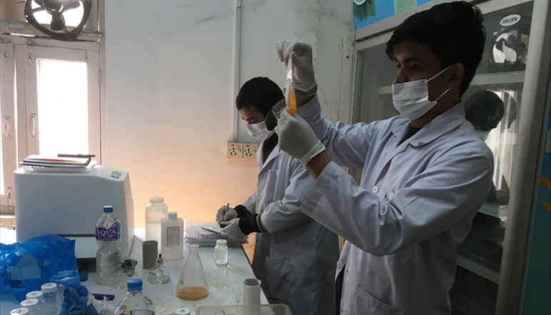 Shrestha and Dahal working at lab bench