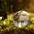 Glass globe on top of moss
