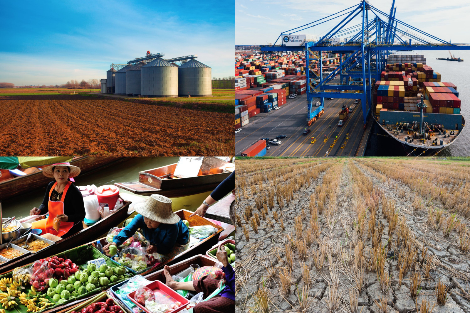 Four picture collage of grain silos on a farm, a large cargo ship in a port, Asian women in boats with food at a floating market, and an arid farm with dried up crops.