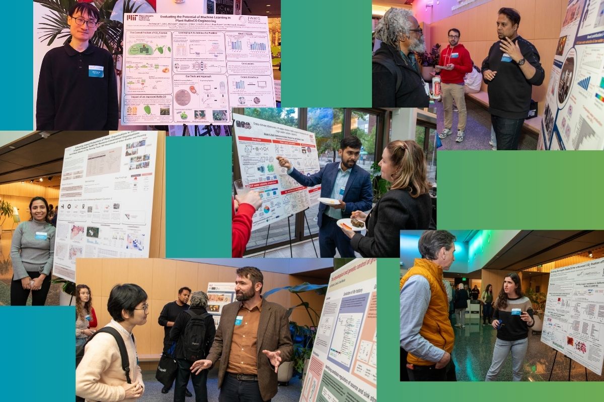 a collage of overlapping photos of participants in the poster session with their posters