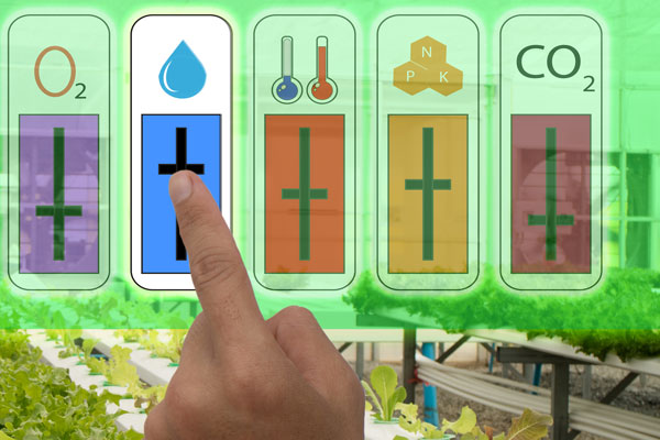 Finger pressing remote screen with water droplet in front of vegetable farm