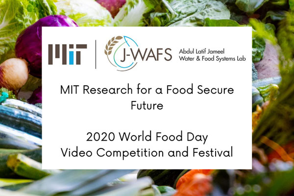Video Competition Announcement text with colorful vegetables