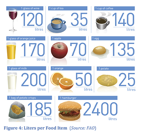 Graphic with food and drink items and the amount of water producing that product consumes