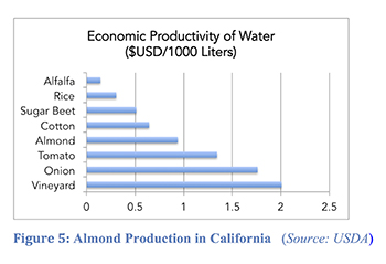 Bar graph of economic productivity of water depending on produce 