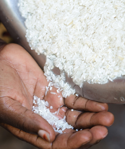 Rice pouring into hand