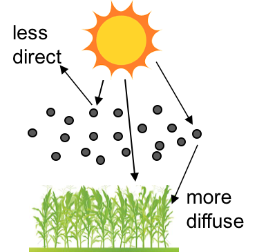 Diagram of sunlight and crop interaction