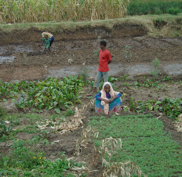 Farmers and children in field in Haiti