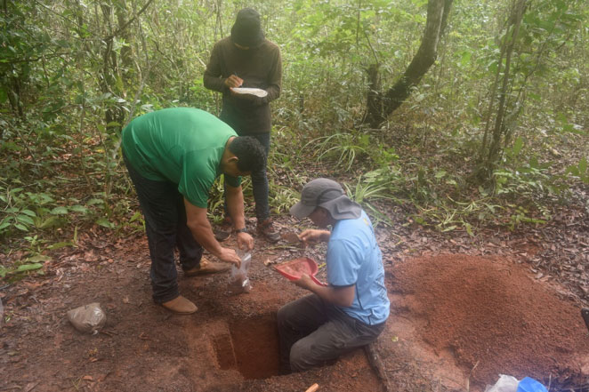 Digging Deep Investigating Manmade Black Soil Of The Amazon Abdul Latif Jameel Water And Food Systems Lab J Wafs