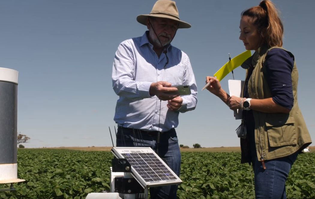 Woman speaking with man in hat in potato field with sensor in foreground