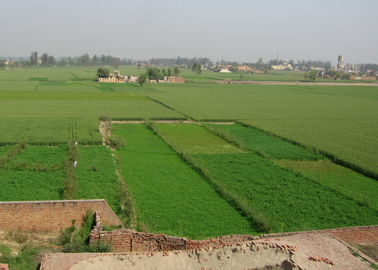 Arial image of lush farms in India - house in the middle