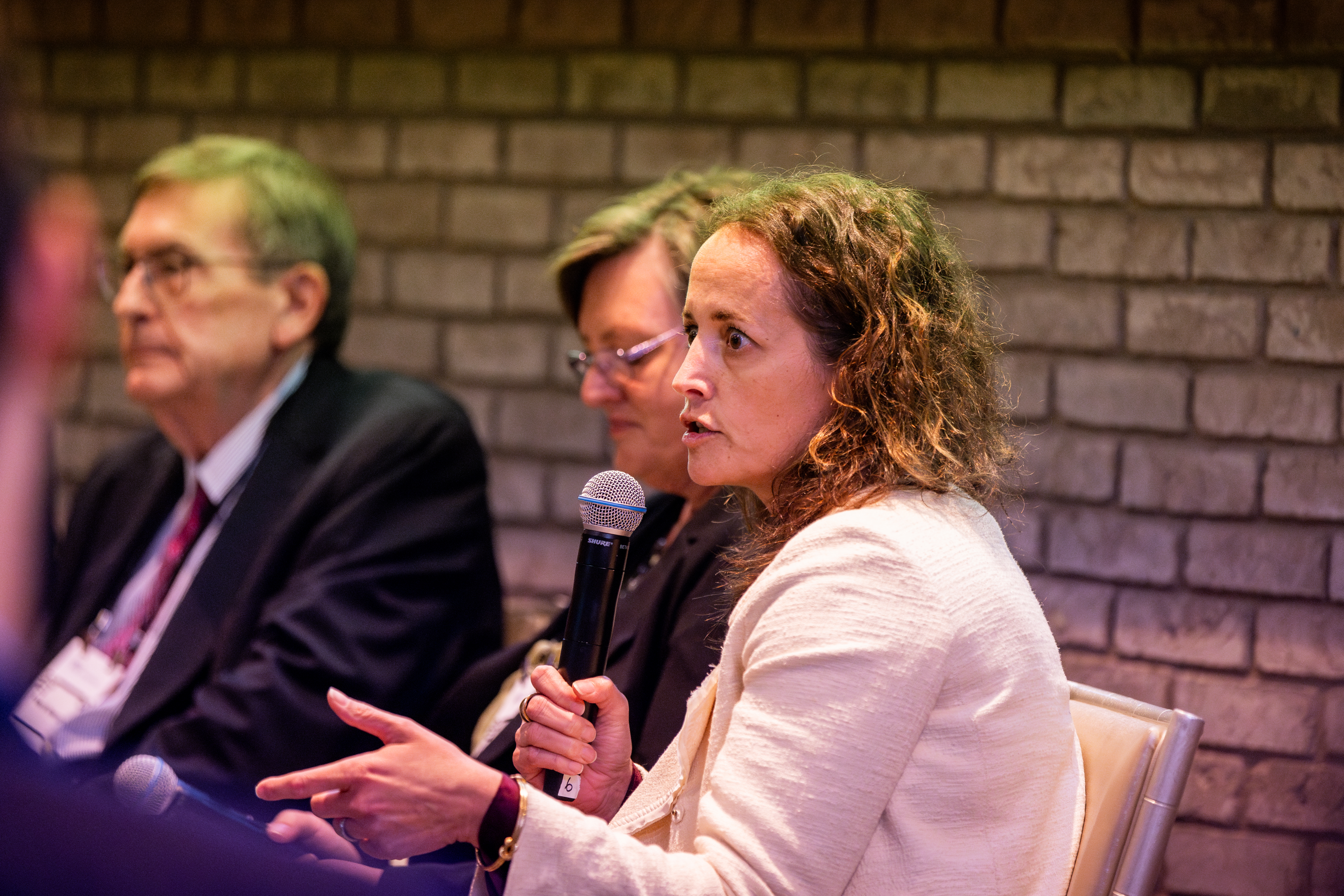 Paola de Almeida speaks into a microphone sitting down in front of a brick wall with two other people seated to her right