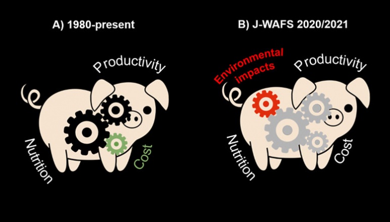 A graphic of two pigs demonstrating the beginning of the project and the projected outcome of the project