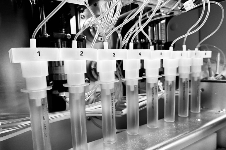 Test tubes lined up in a stainless steel device with other plastic tubes coming out from the top of each test tube