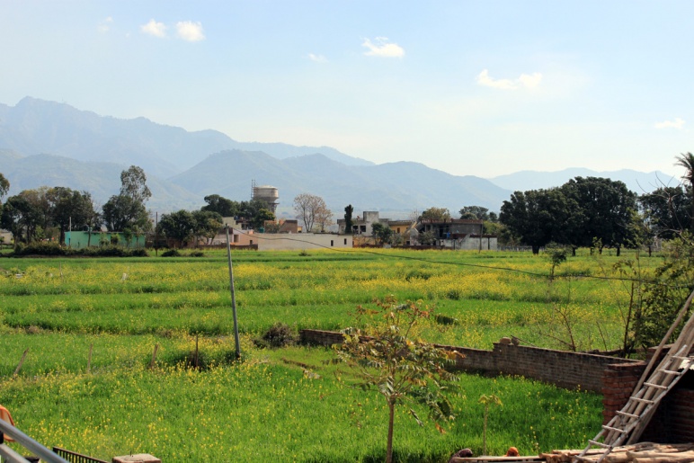 Photo of a farm in India