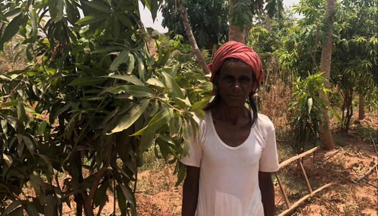 Local woman standing near tree in field