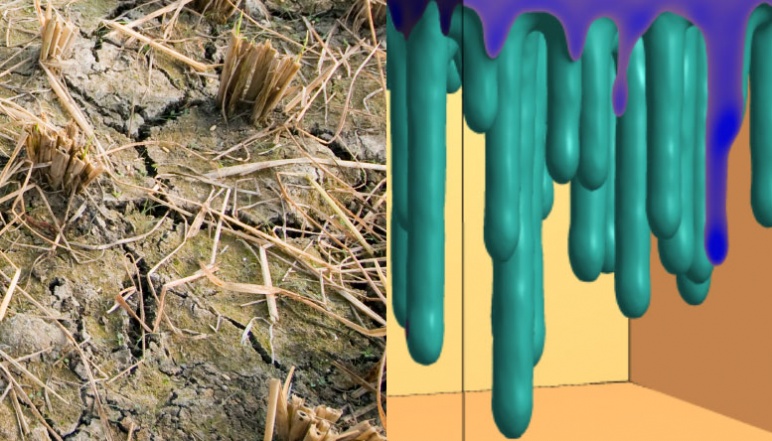 Left depicts dried field and right side depicts 3D rendering of gravity fingering