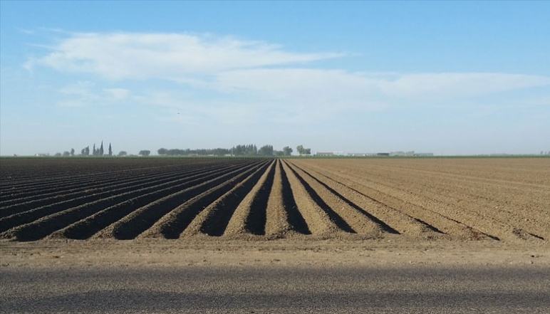 Evenly plowed soil in California