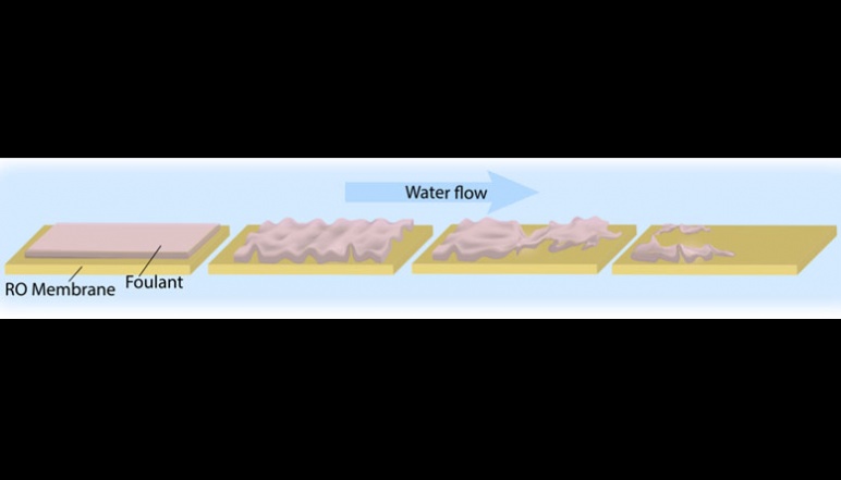 Schematic illustrating osmotically-induced cleaning (OIC) for a fouled RO membrane