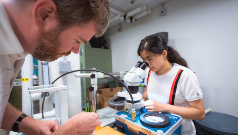 Des Marais harvests leaf tissue and Yun measures under microscope