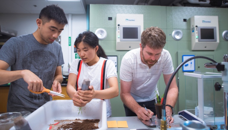 Cai, Yun, and Des Marais harvest plants