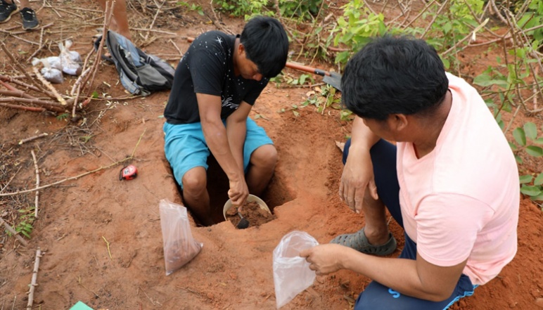 Two researchers digging and collecting soil samples
