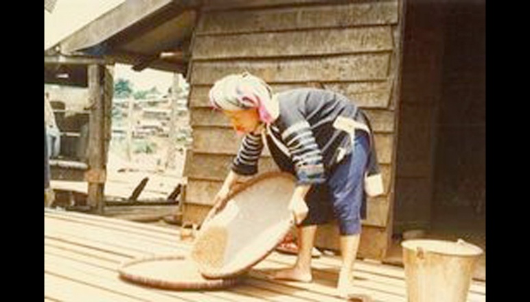 Woman sifting rice