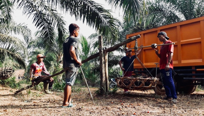 People in Indonesia filling basket with palm oil fruits