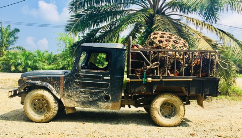 Loaded truck with basked and palm oil fruits