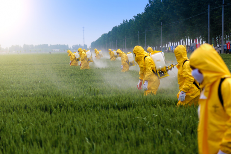 Spraying pesticide in hazmat suits