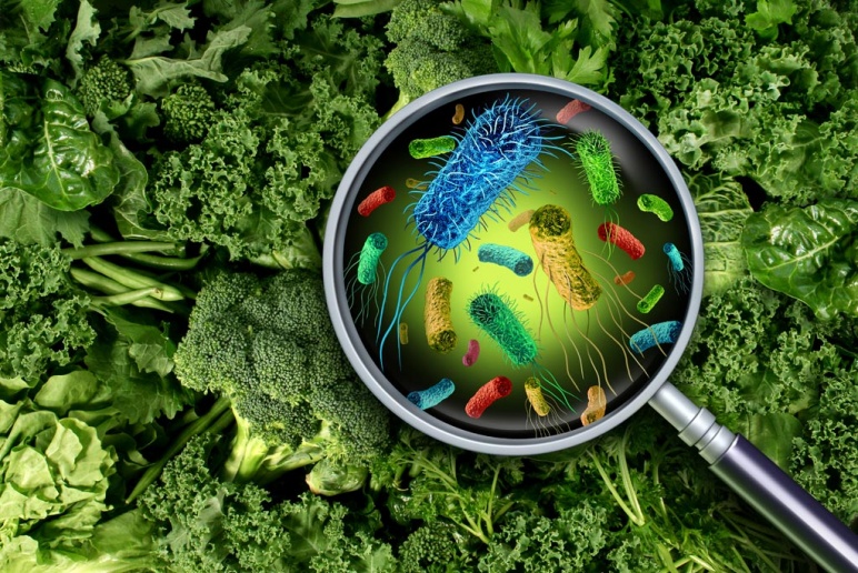 Illustration of a magnifying glass showing bacteria on a background of green vegetables.