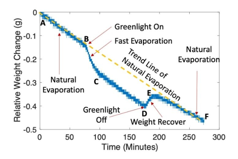 Graph that shows photomolecular evaporation from the pure water surface