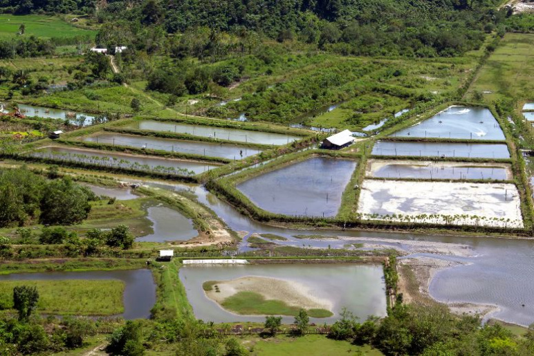 An aerial view of a shellfish hatchery