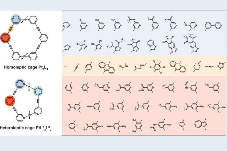 Schematic image of chemical organic molecule building blocks