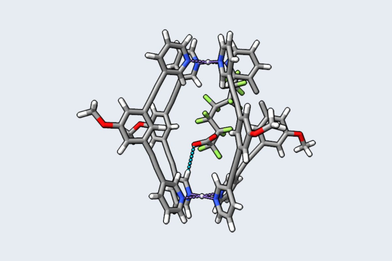 simulation of a PFAS molecule 