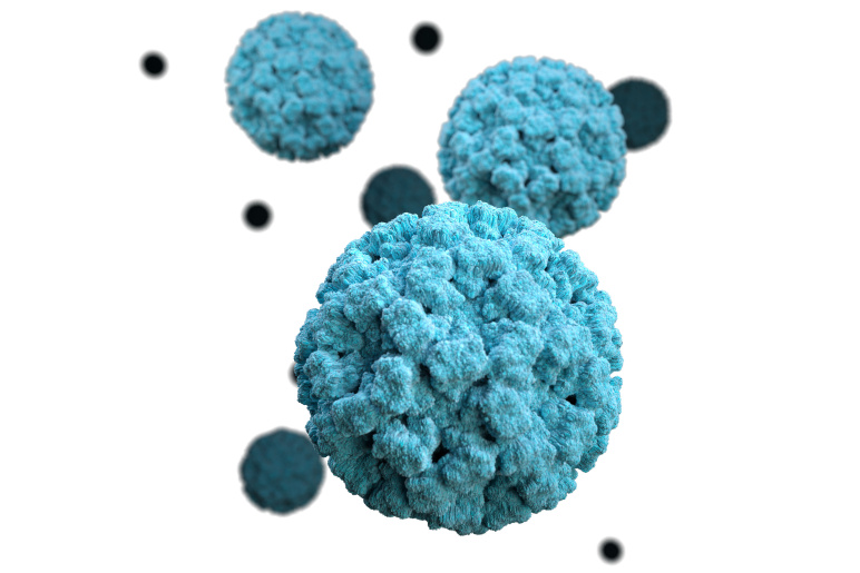 three-dimensional, graphical representation of a number of norovirus virions in blue green, set against a white background.