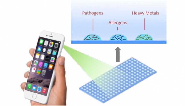 Diagram of smartphone bing used to detect food contaminatns
