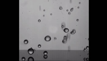 Water droplets bouncing and not sticking together
