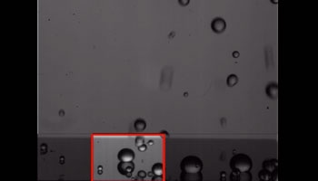 Novel polyelectorlyte spray shows droplets that bind together