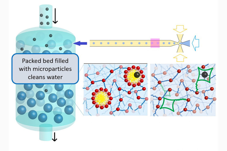A cyllindrical container with small blue spheres and even smaller black spheres, with the label, "Packed bed filled with microparticles cleans water." At right, three illustrations show how microparticles interact with water and pollutants.