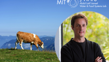 A cow grazing on a mountainous pasture on the left and César Terrer on the right.