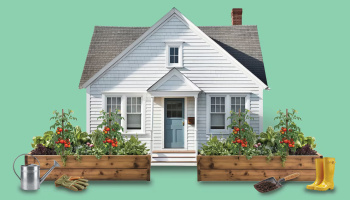 Solid mint green background, cutout of house with garden
