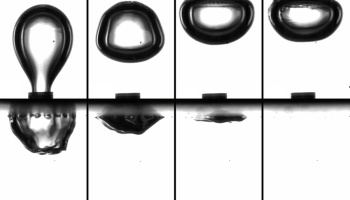 This collage of video stills shows a bubble hitting the surface membrane (top right) and then destroyed in about 8 milliseconds (bottom row).