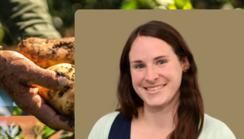 J-WAFS PI Morris headshot bottom right, hands holding potatoes green background