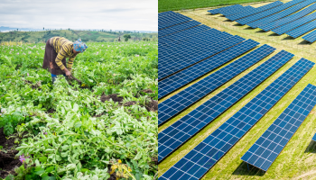 A split image showing an African woman farming in a lush field on the left and a large solar panel farm on the right.