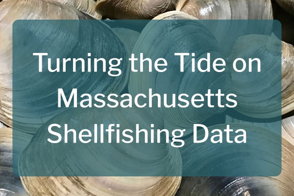 MIT news article title with quahogs in background, against a translucent teal banner