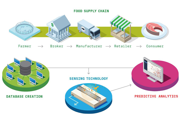 Colorful infographic of food supply chains