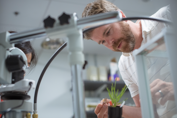 White man with beard leaning over small plant in lab setting