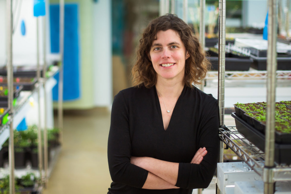 Headshot of Mary Gehring in a lab with trays of seedlings behind her