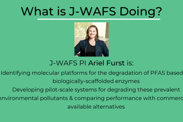 Green banner with photo of Ariel Furst and information on her PFAS project